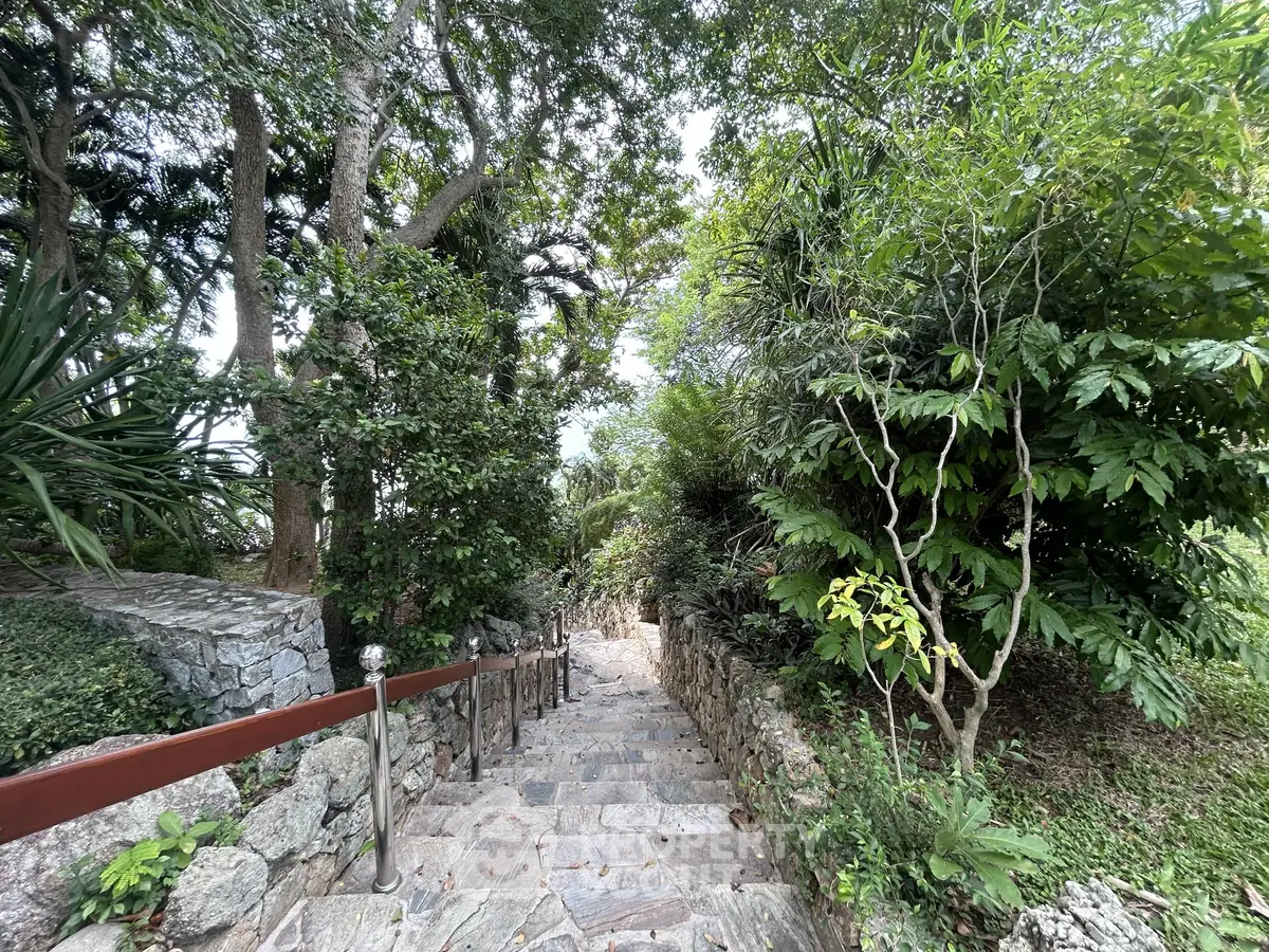 Charming stone pathway through lush garden in serene residential setting