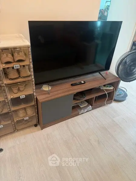 Modern living room with sleek TV stand and organized shoe storage