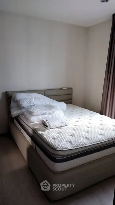 image_rental-30654724