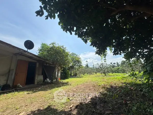 image_rental-29009824