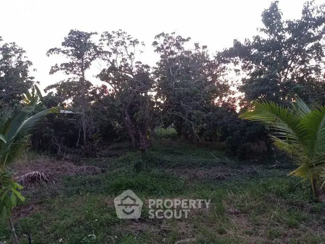 Lush green landscape with dense trees, perfect for serene living or development.