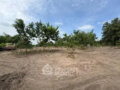 Spacious land plot with young trees under a clear blue sky, ideal for development.