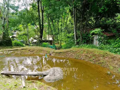 Serene garden with a small pond surrounded by lush greenery, perfect for nature lovers seeking tranquility.