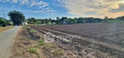 image_rental-29678788