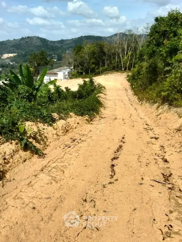 image_rental-28687813