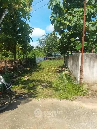 Charming outdoor space with lush greenery and potential for landscaping, ideal for garden enthusiasts.
