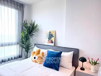 image_rental-31625988