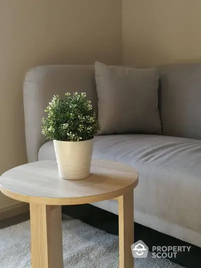 Cozy living room with modern gray sofa and stylish wooden side table featuring a decorative plant.