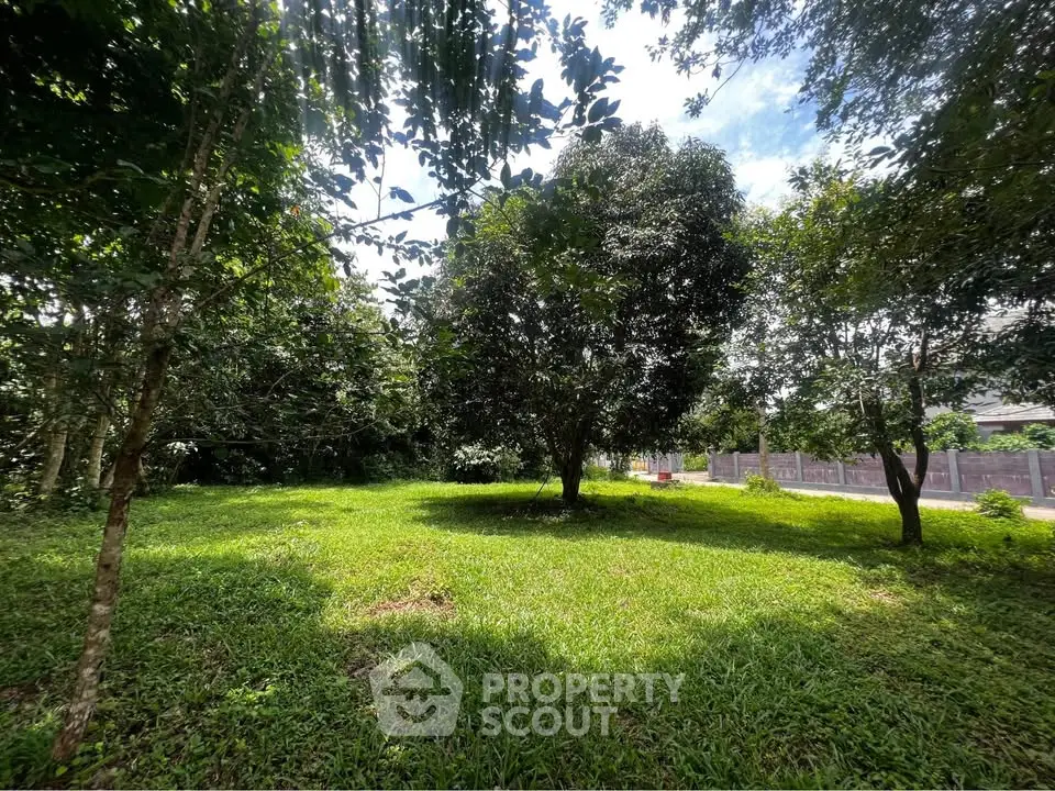 Spacious green garden with mature trees and lush grass, perfect for outdoor relaxation.