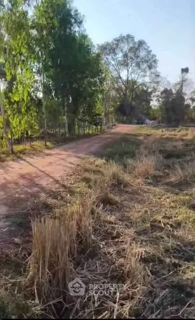 Scenic rural landscape with dirt road and lush greenery, perfect for serene living.