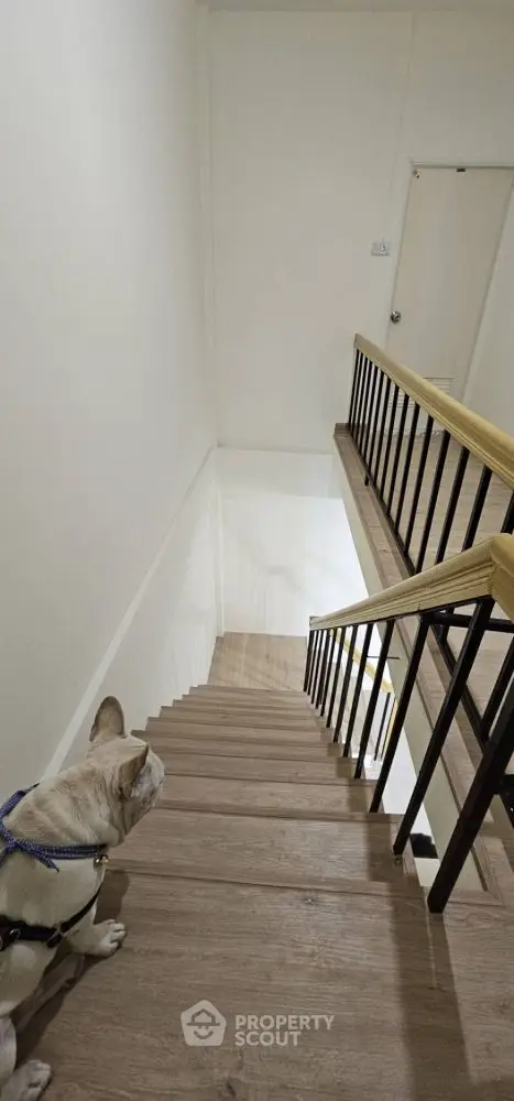 Modern staircase with wooden steps and sleek railing in a contemporary home