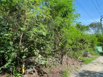 Prime land plot with lush greenery, perfect for development or investment, offering serene natural surroundings.