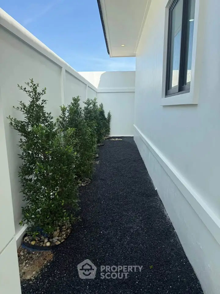 Modern exterior side pathway with neatly arranged plants and sleek white walls.