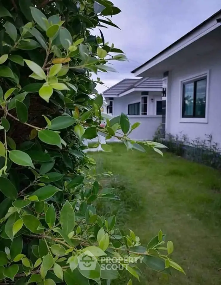 Charming suburban home with lush green garden and modern exterior design.