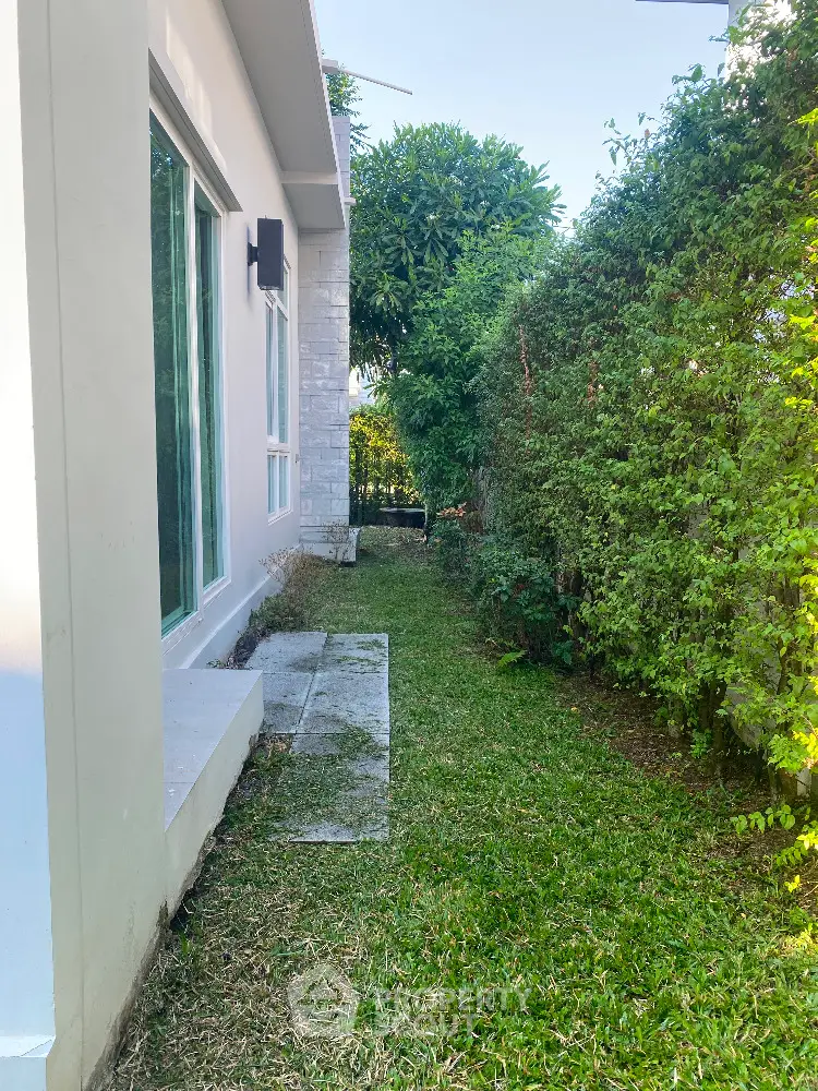 Charming side garden with lush greenery beside modern home exterior