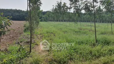 Expansive agricultural land with lush greenery and young trees, ideal for farming or development opportunities.