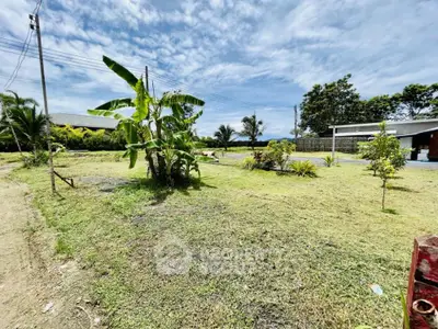 image_rental-19312582