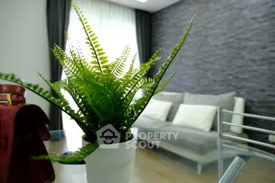 Modern living room with stylish decor and vibrant green plant enhancing the ambiance.
