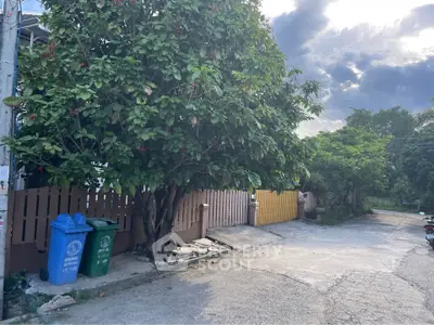 Charming residential street with lush greenery and a serene atmosphere.