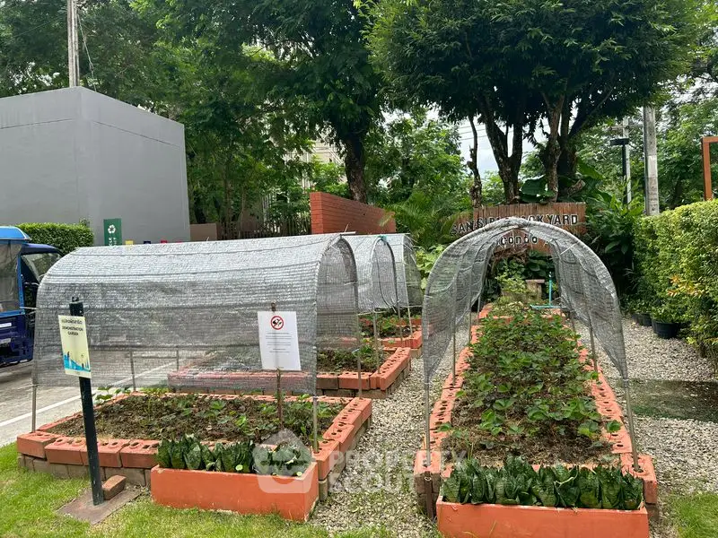 Charming community garden with lush greenery and vegetable plots in a serene residential area.