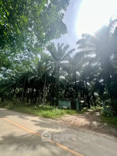 Lush tropical garden with tall palm trees and sunny sky, perfect for serene living.