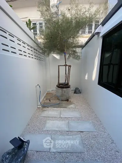 Charming small garden with modern design and potted tree in cozy outdoor space