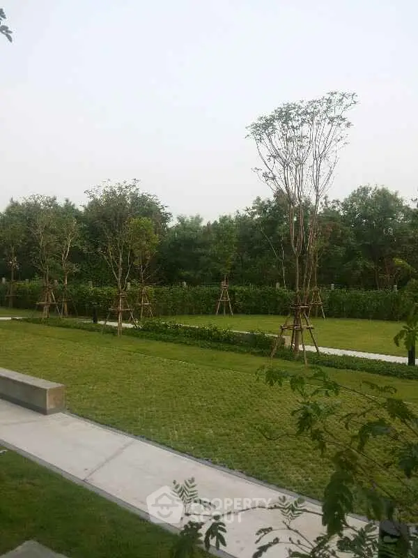 Lush green garden with young trees and walking path in serene setting.