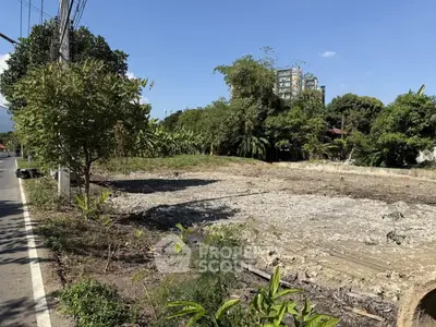 image_rental-30031913