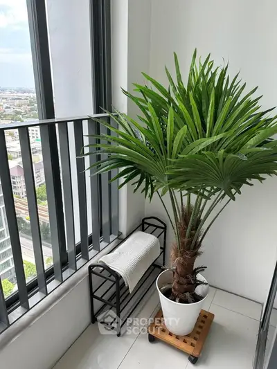 Charming balcony with potted palm and city view, perfect for relaxation.