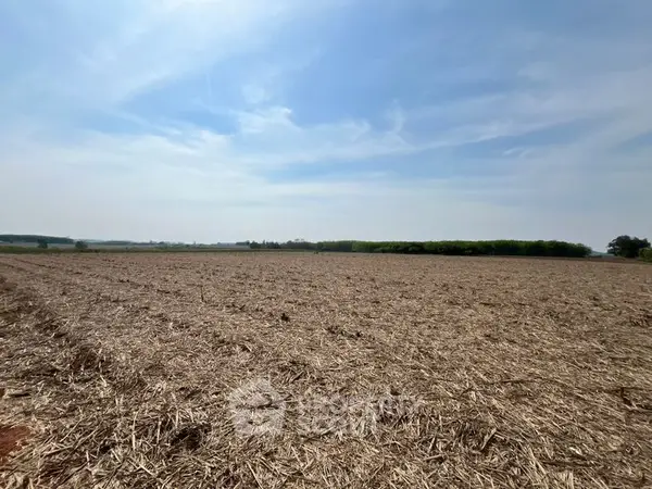 image_rental-31575773