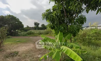 Screenshot 2026-02-04 114041.png