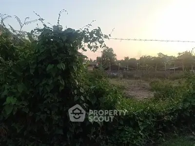 Expansive plot of land with lush greenery, perfect for development opportunities.