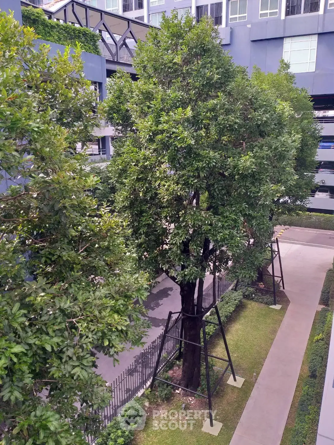 Modern apartment building with lush green garden and tall trees in courtyard view.