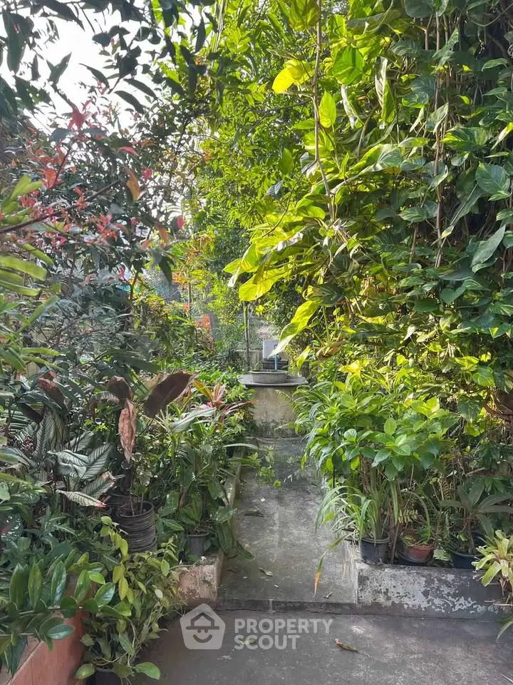 Lush garden pathway with vibrant greenery and potted plants