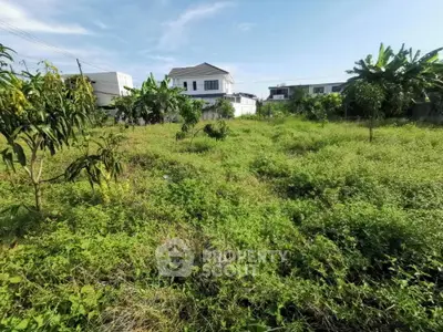 image_rental-27478696