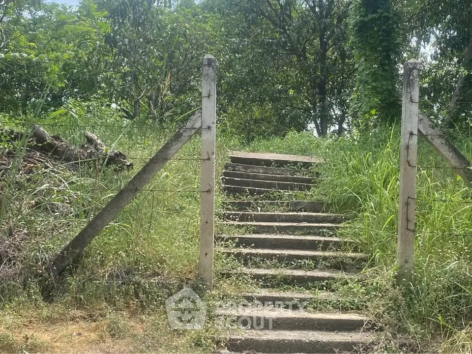 Charming outdoor staircase leading to a lush green garden area, perfect for nature lovers.