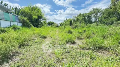 Expansive green land plot with lush vegetation under a bright blue sky, ideal for development.