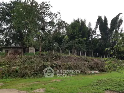 Expansive green land with lush trees perfect for development opportunities