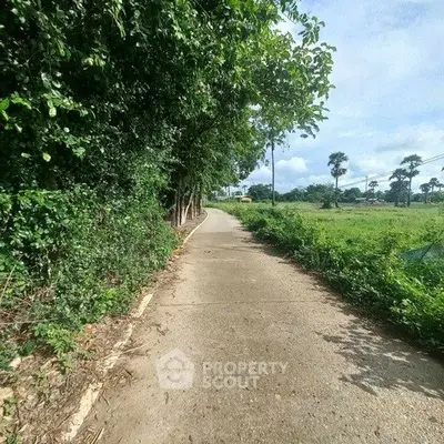 image_rental-29469123