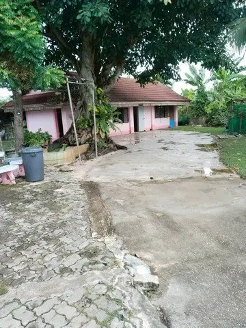 Charming single-story home with lush garden and spacious driveway, perfect for serene living.
