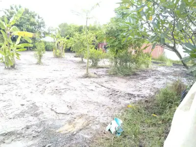Spacious outdoor garden area with lush greenery and potential for landscaping.