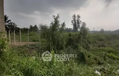 image_rental-22200887