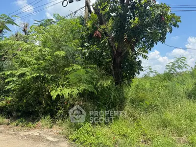 Lush green vacant land with trees under a clear blue sky, ideal for development.
