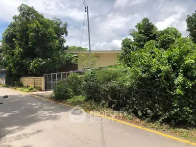 Charming suburban house with lush greenery and secure fencing