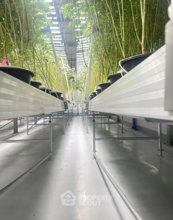 image_rental-27324648