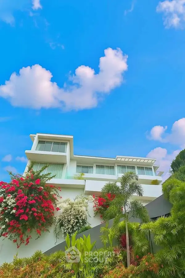 image_rental-28795039