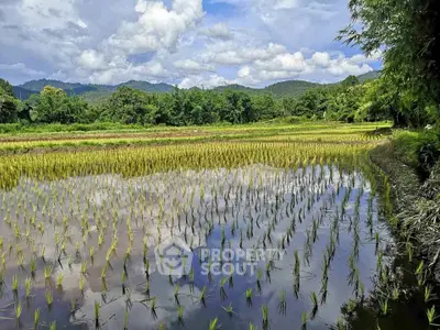 image_rental-27309623