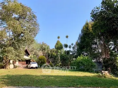 image_rental-31084847