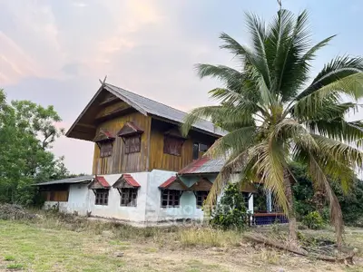 Charming rustic wooden house with lush greenery and palm tree, perfect for serene living.