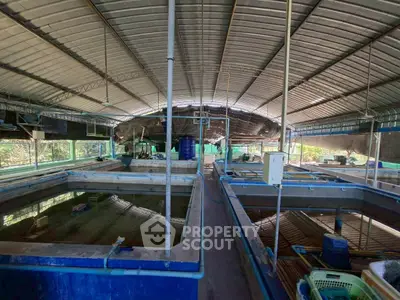 Spacious industrial facility with large tanks and metal roof, ideal for aquaculture or storage.